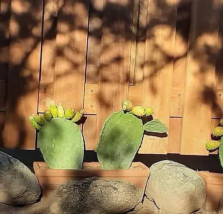 Domaine De La Punta Vakantiehuis