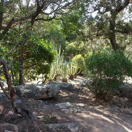 Domaine De La Punta Ferienhaus *
