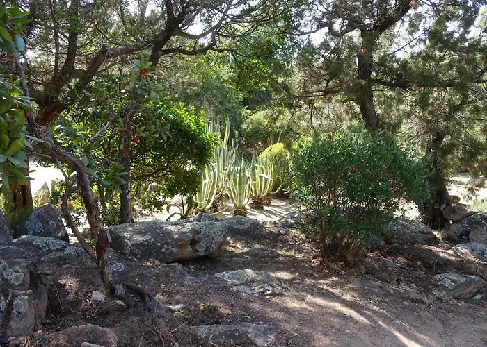 Domaine De La Punta Semesterbostad *