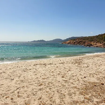 Domaine De La Punta *