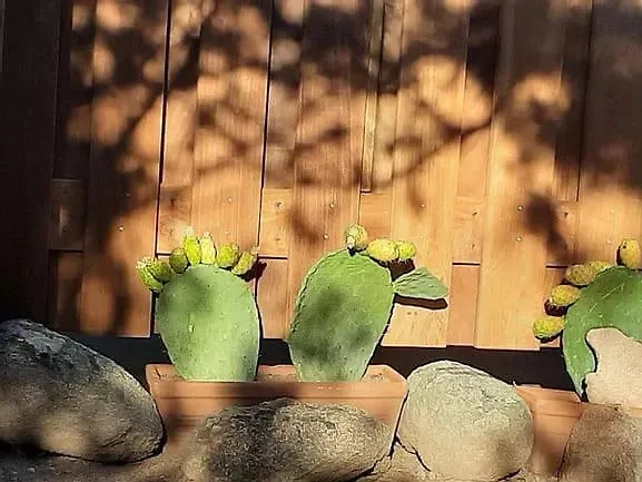 Domaine De La Punta Prázdninový dům