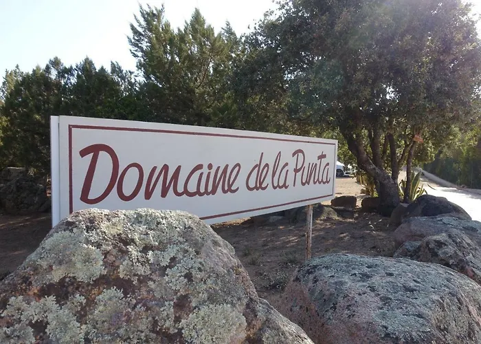 Domaine De La Punta